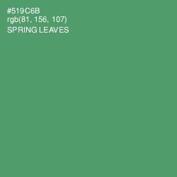 #519C6B - Spring Leaves Color Image
